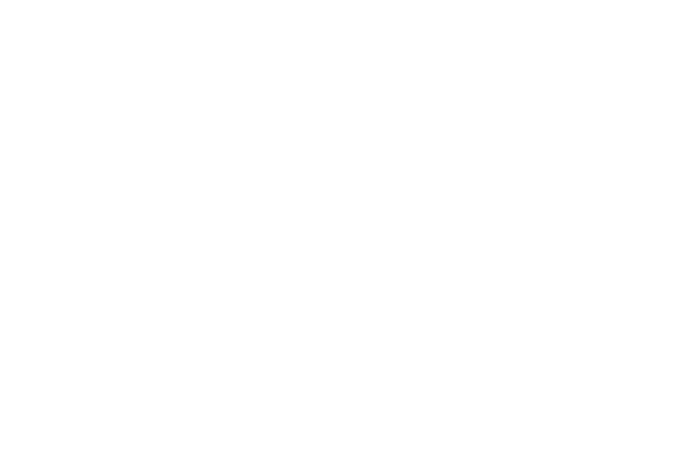 BBFlow